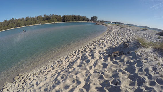 Marks Point