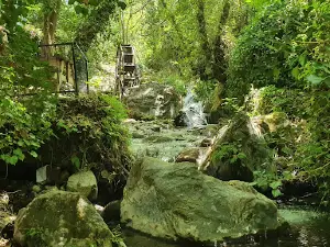 Emendere hidden paradise Swimming Pools