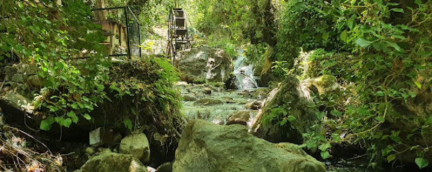 Emendere hidden paradise Swimming Pools