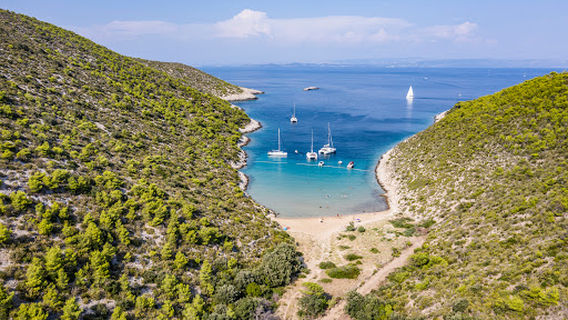 Vis