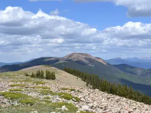 Baldy Mountain