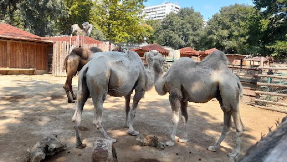 Varna Zoo