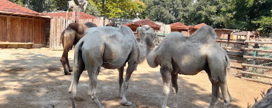 Varna Zoo