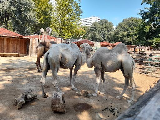 Varna Zoo
