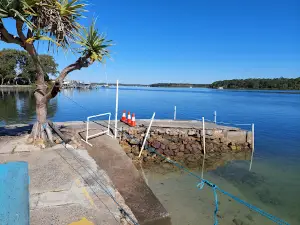 Dolphin Feeding Tin Can Bay