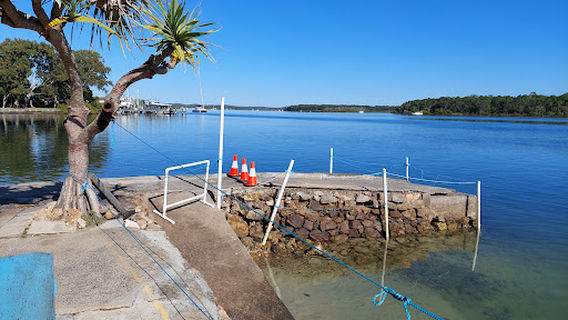Dolphin Feeding Tin Can Bay