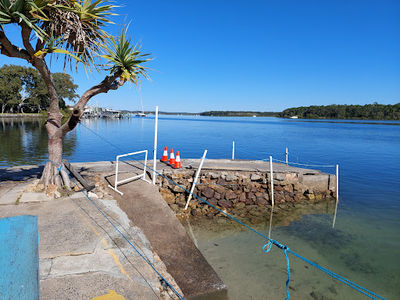Dolphin Feeding Tin Can Bay