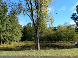 Caesar Creek Lake Visitor Center