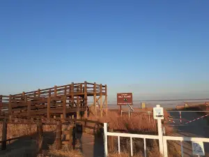 Great Salt Plains Selenite Digging Area