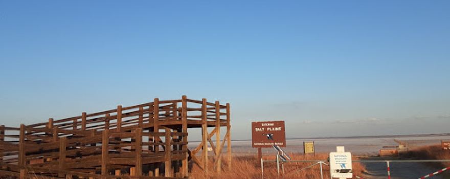 Great Salt Plains Selenite Digging Area