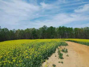 Red Oak Hollow ATV Trails