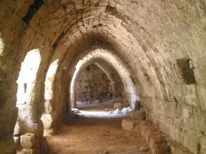 Castle roe
