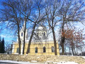 Biserica Badiceni Preotul Paroh Ioan BOTEA