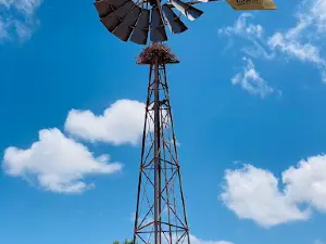 Peron Heritage Precinct