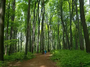 Nature reserve Łężczok