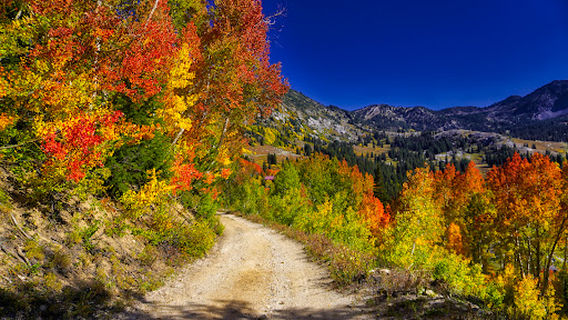 Alta-Brighton Trailhead