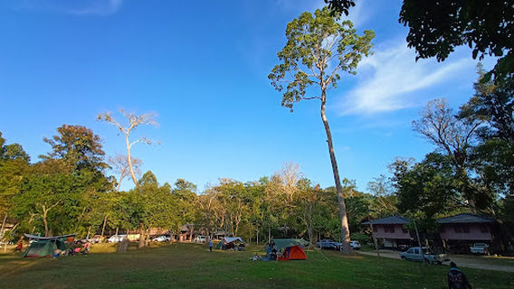 เขตรักษาพันธุ์สัตว์ป่าเขาสอยดาว Khao Soi Dao Wildlife Sanctuary
