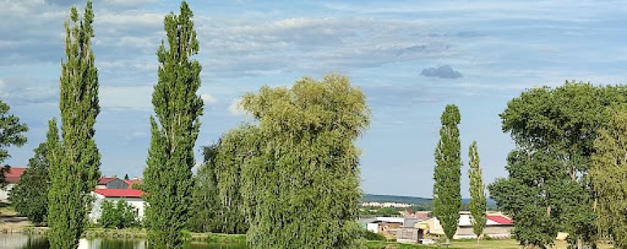Koupaliště Stýskaly