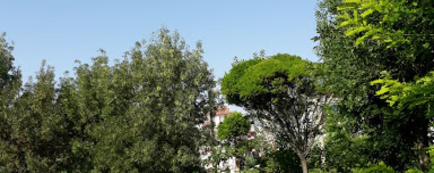 Şht. Pilot Ali Başmakçı Parkı