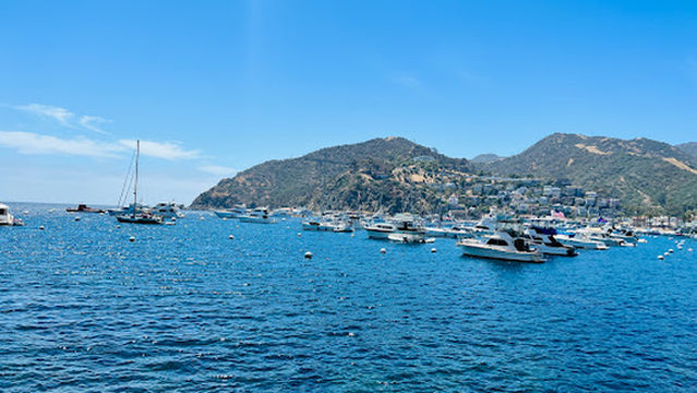 Catalina Scuba