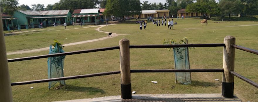 Baladmari School Playground