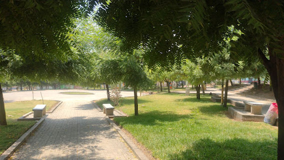 Bagua Grande