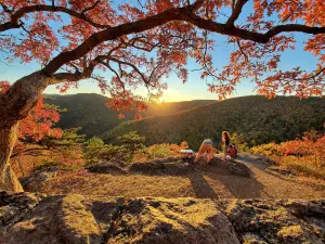 20-Minute Cliff Overlook