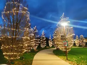 Barton Park