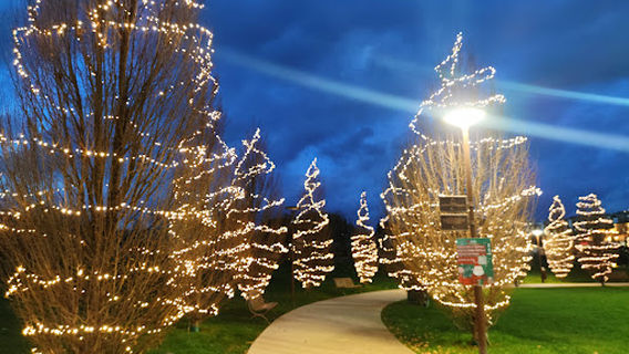 Barton Park