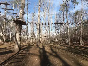 Carolina Treetop Challenge