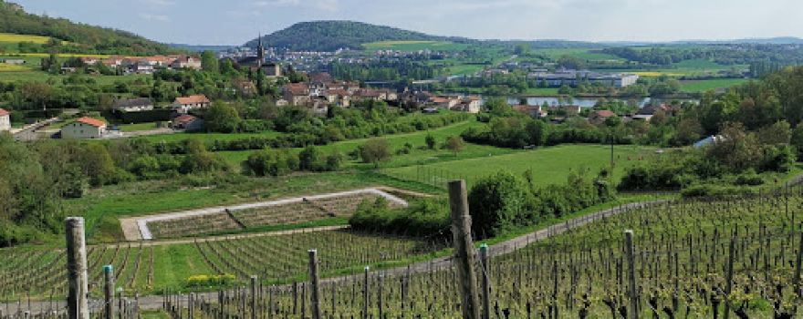 Terrain de Football