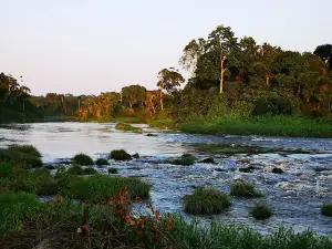 Ogooue River