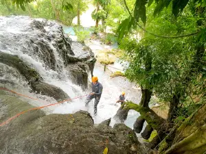 Cueva de las sardinas ciegas