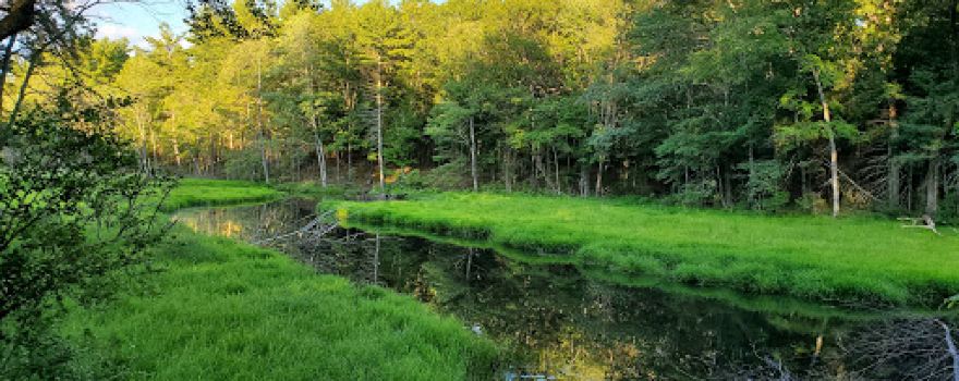 Kennedy Conservation Area