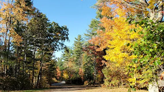 Coldbrook Springs Railroad Depot Site