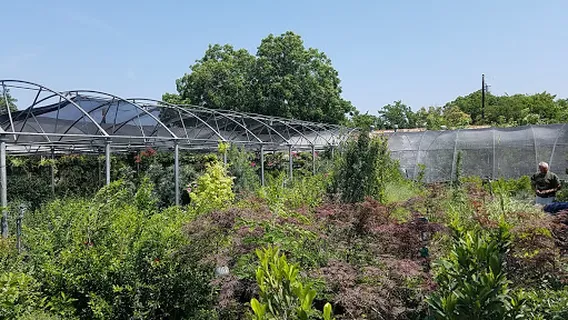 McIntire's Garden Center