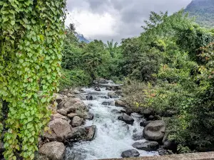 TK Colony River