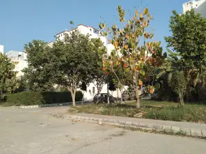 Type II residential Park, UPUMS
