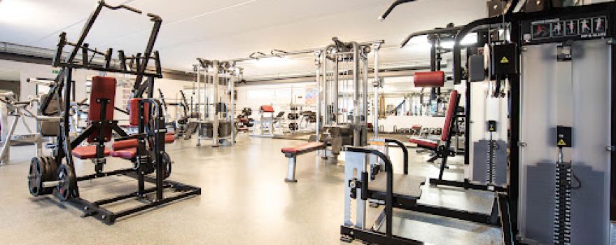 Sense of Body Fitness Schmee Angela