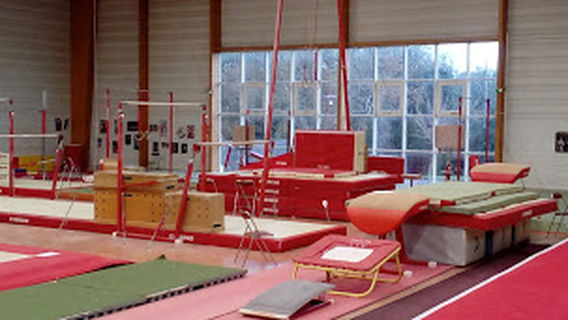 Gymnastics Les Alcyons