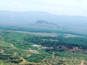 Pondok di Atas Awan