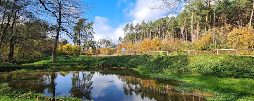 Źródelko krasowe