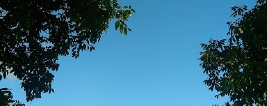 Lansing City Park