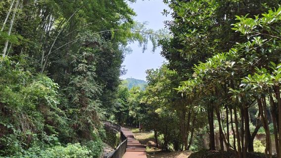 Dishui Wonderland