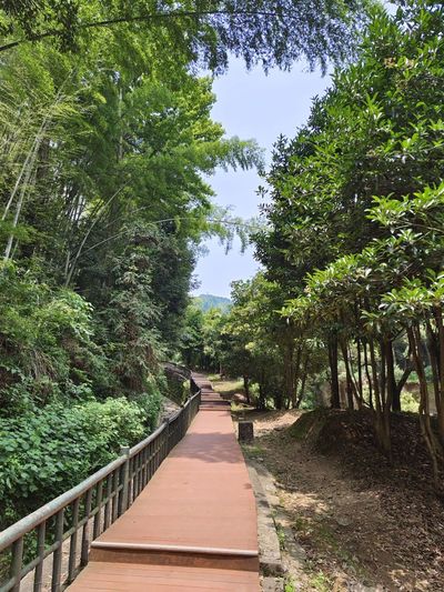 Dishui Wonderland