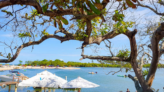 Pier Zero8 Restaurante e Beach Club