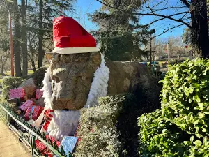 Ifrane Lion