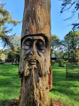 Lynford Arboretum