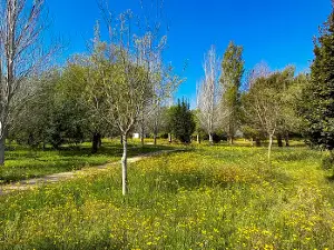 La Xopera