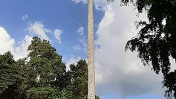 Prof. Juan Bosch Park